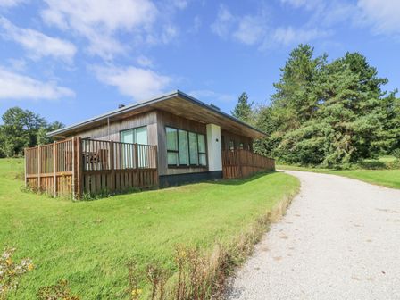 A single story wooden house with fenced porch windows and a gravel driveway surrounded by grass and trees at Rowan in Truro
