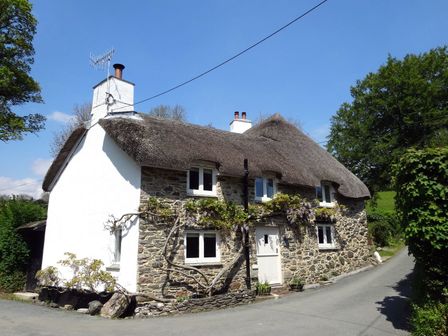 A stone and white cottage with a thatched roof next to a road surrounded by trees at Cullaford Cottage in Scorriton near Ashburton