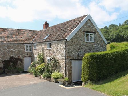 A stone house with a tiled roof and plants along the wall at Swallows Cottage in Honiton