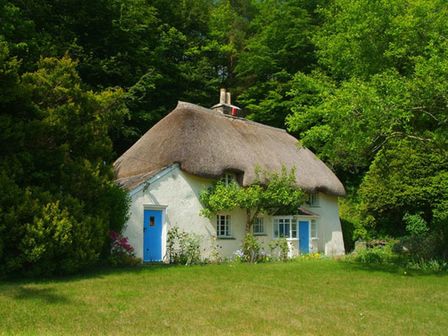 A thatched roof cottage with blue doors surrounded by trees and grass at Lew Quarry Cottage in Lewdown