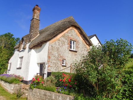 A stone and white cottage with a thatched roof and chimney surrounded by a garden with flowers and bushes at West Henstill House in Sandford Devon