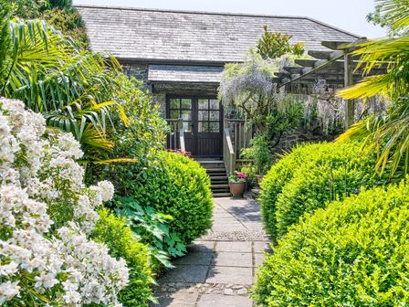A garden path with bushes white flowers and a pergola leading to a stone building entrance at The Cider Barn in Loddiswell