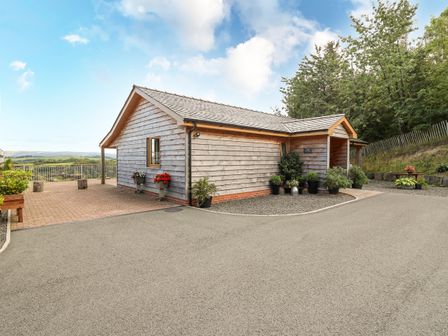 A wooden bungalow with multiple potted plants around the entrance and a paved area next to it at The Firs in Llanidloes