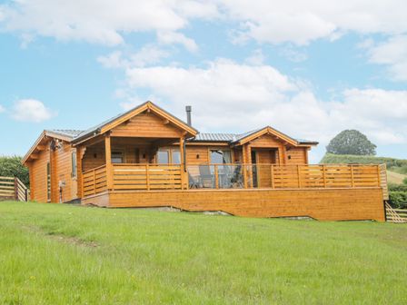 A wooden cabin with a deck in a grassy area at Manor Farm Lodges - Dragon Lodge Newtown