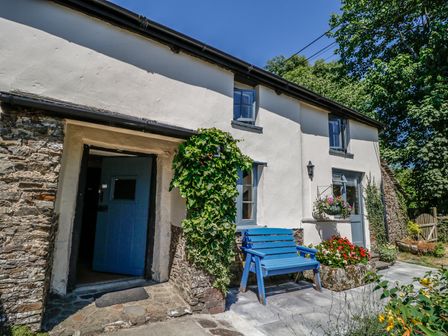 A white cottage exterior with a blue door and bench surrounded by plants and flowers at Janes Place in Lifton