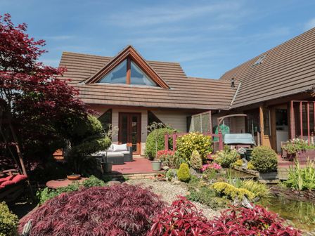A garden with various plants and a pond in front of a house with a tiled roof at Swallow Lodge in Amble