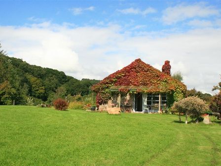 A small house with roof covered in red and green leaves surrounded by grass and trees at The Piggery in Lydney