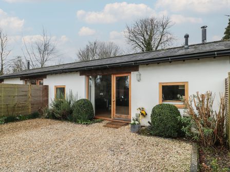 A single-story building with white walls and wooden framed windows and door surrounded by gravel and shrubs at Russet in Martin