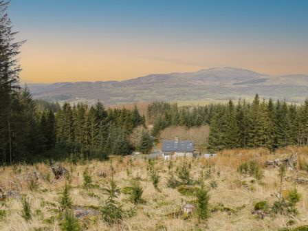 A house surrounded by forest trees and small plants with mountains in the background at Brithgwm Canol in Brithdir near Dolgellau