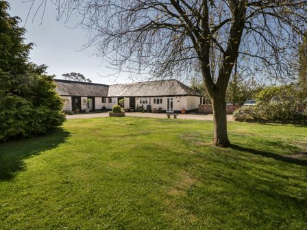 A house with white walls and a grey roof surrounded by a lawn and trees at Orchard Cottage in Shaftesbury