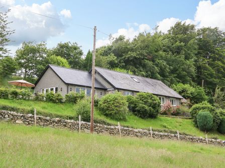 A house with a stone wall in front surrounded by bushes and trees at Ochr Y Garth in Maenan