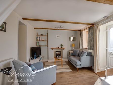 A living room with two blue sofas a wooden coffee table a rug a TV a bookshelf and a fireplace at Ammonite Cottage Fortuneswell Portland