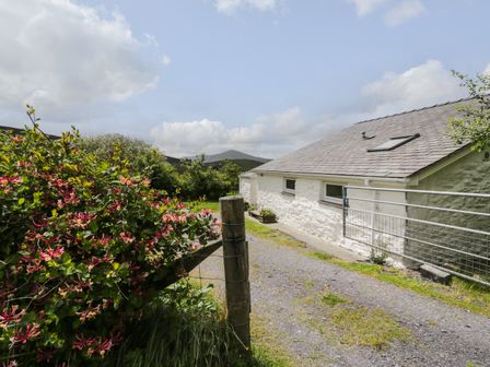 A white stone house with a slate roof next to a gravel driveway and flowering bushes at Y Bwthyn in Elidir Fach Mountain near Llanberis