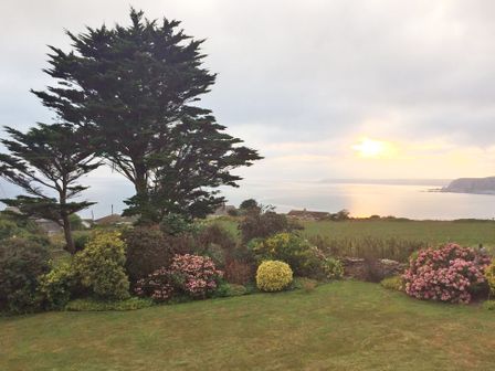 A garden with bushes and a tree overlooking a field and the sea at sunset at Seaspray in Bigbury-on-Sea