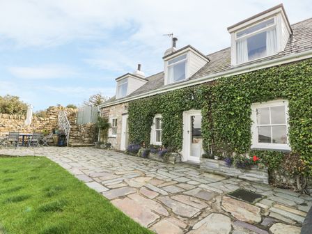 dog friendly llyn peninsula