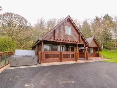 A wooden cabin with a porch driveway and a hot tub outside surrounded by trees at Pines Pitch in Knighton