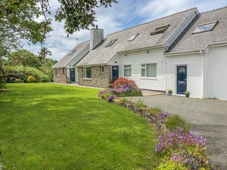 A row of houses with stone and white walls and blue doors with a green lawn and purple flowers at Llain Haf in Llangefni