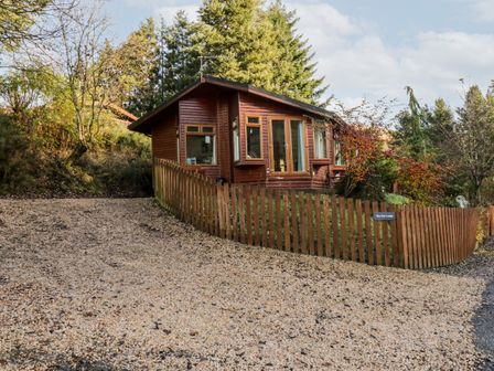 A brown wooden cabin with windows and a door surrounded by a wooden fence and trees at The Wee Lodge in Dollar