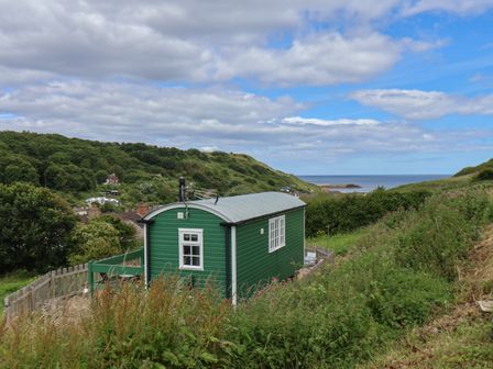 A green cabin on a hillside overlooking the sea with surrounding vegetation and distant houses at Lady Bird Retreat in Skinningrove