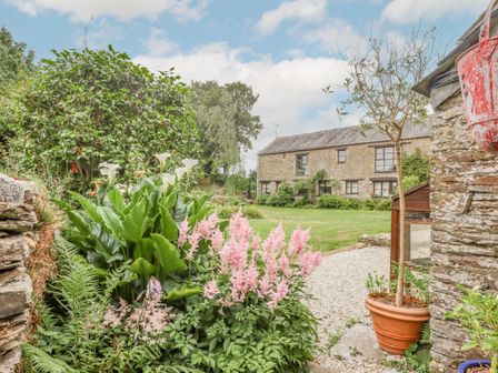 A garden with flowers and plants and a stone building in the background at Erin Cottage in Pelynt near Looe