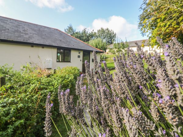 Hazel Cottage Bude Bush Cornwall Self Catering Holiday Cottage