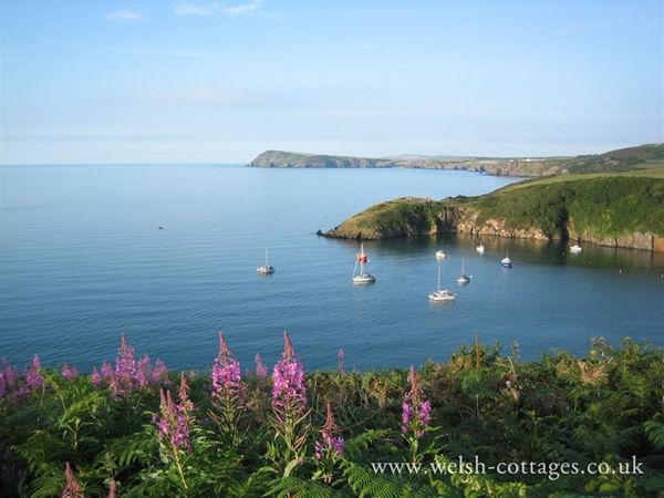 Otter Cottage Newport Pembrokeshire Newport Trefdraeth
