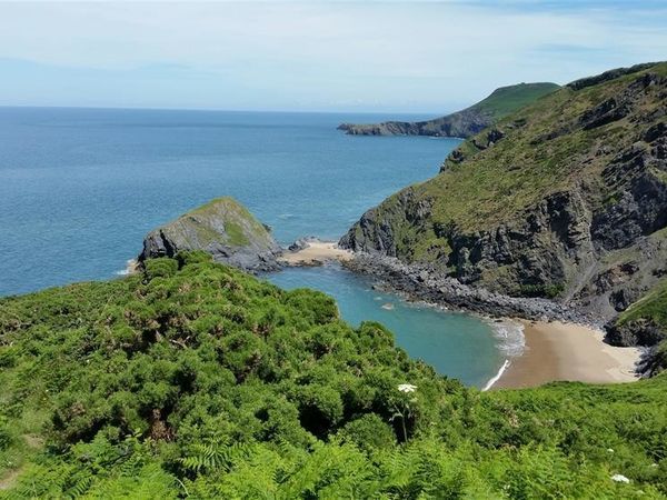 Pond Cottage New Quay New Quay Ceinewydd Self Catering