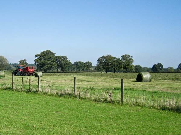 Cow Byre Cottage Charlton Malmesbury Self Catering Holiday