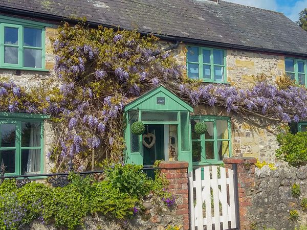 2 Wisteria Cottages Tatworth South Chard Dorset And Somerset