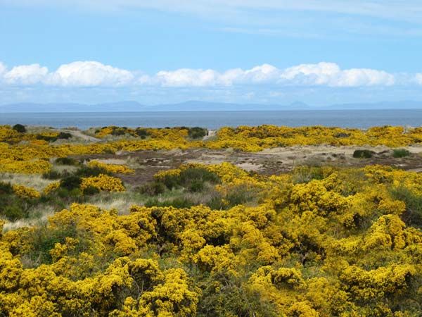 Seaside Haven Findhorn Self Catering Holiday Cottage
