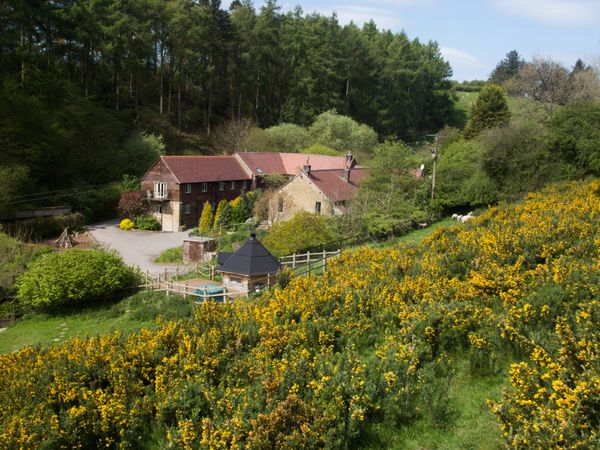 Corfton Cottage Diddlebury Pinstones Self Catering Holiday