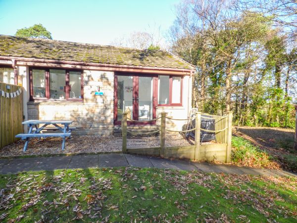 Starfish Rest St Ives Lelant Downs Cornwall Self Catering