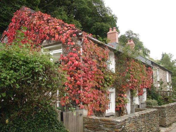 Willow View Wadebridge Cornwall Self Catering Holiday Cottage