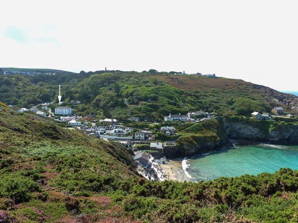 Sea Thrift St Agnes Blue Hills Cornwall Self Catering