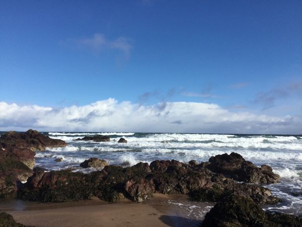 Sea Spray Eyemouth Self Catering Holiday Cottage