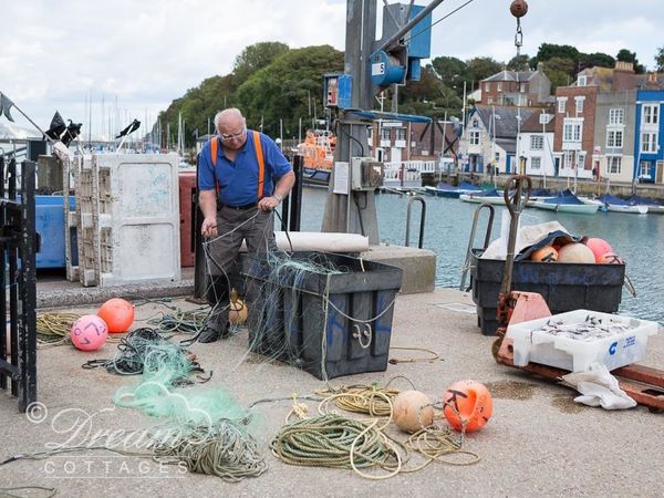 Harbour Catch Cottage Weymouth Rodwell Dorset And Somerset