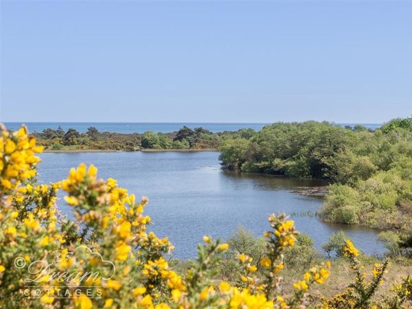 Studland Cottage Swanage Agglestone Dorset And Somerset