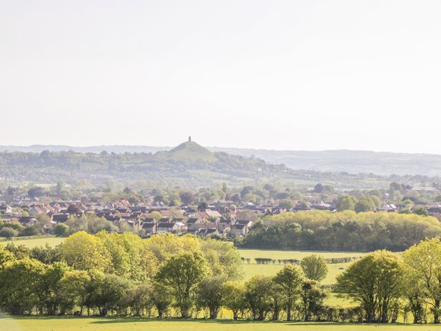 Foxglove, Somerset