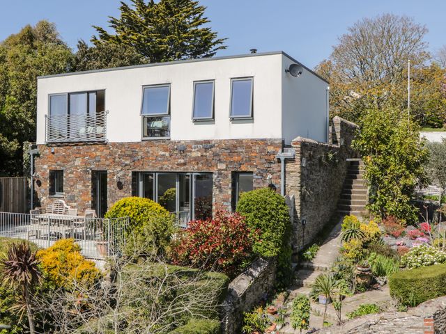 Moon Lizard - 1009814 - photo 1