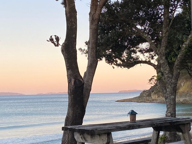 Bliss on the Beach - Whangapoua - 1028022 - photo 4
