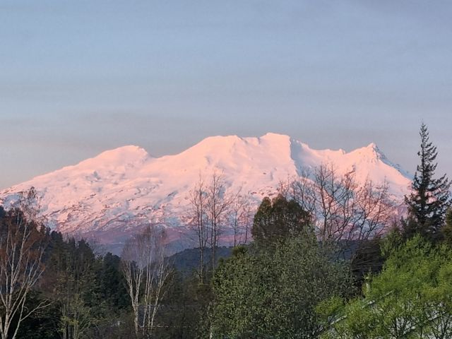 Kune Crib - Ohakune Holiday Home near Turoa - 1028226 - photo 3