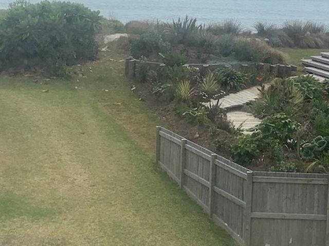 A garden with a wooden fence plants and a wooden pathway leading to steps at Laze on Loop Waihi Beach