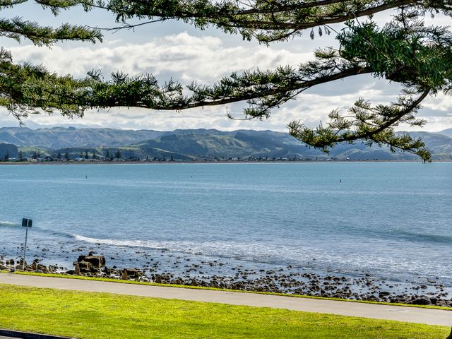 Napier Sea Views - Ahuriri Holiday House - 1029713 - photo 4