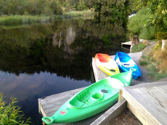 Kingfisher - Kuratau Holiday Home - 1030445 - photo 2