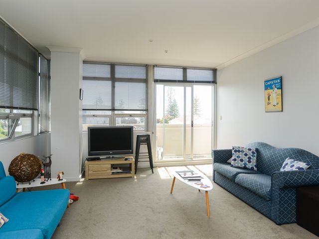 Napier Inner City Apartment - Napier Apartment - 1030565 - photo 5