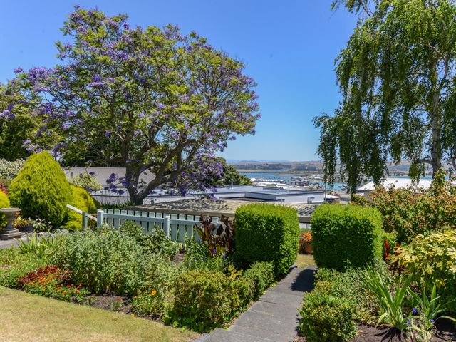 Jacaranda Lodge - Napier Hill Holiday Home - 1030797 - photo 4