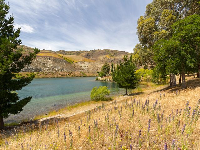 Sunhaven Lakeside - Cromwell Holiday Home - 1031161 - photo 3