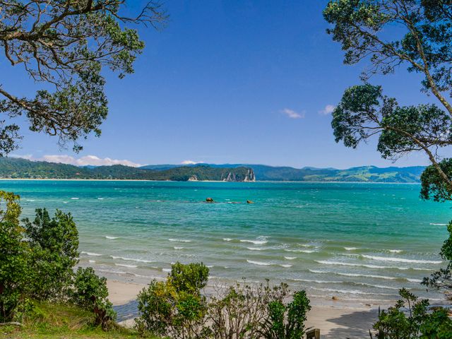 Waters Edge Cottage - Hahei Bach - 1032023 - photo 3