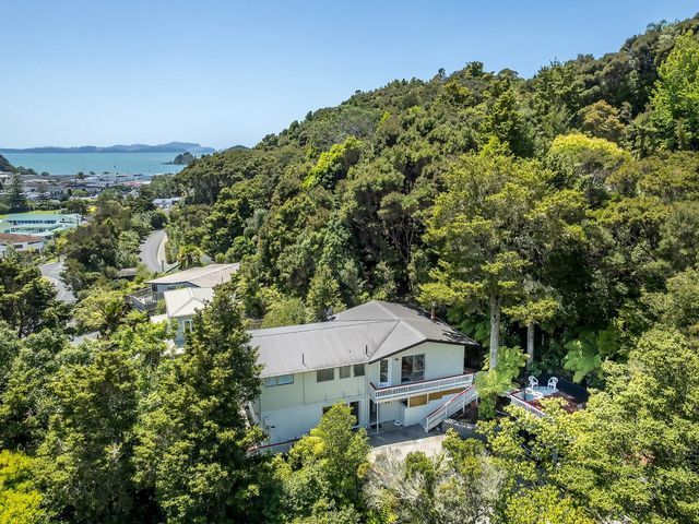 An exterior view of a house surrounded by trees and a view of water at Rimu - Paihia Holiday Home, Paihia