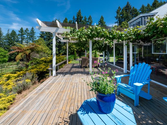 Pukawa Country Lodge - Pukawa Bay Holiday Home - 1032693 - photo 5